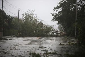 Powerful Hurricane Irma Slams Into Florida