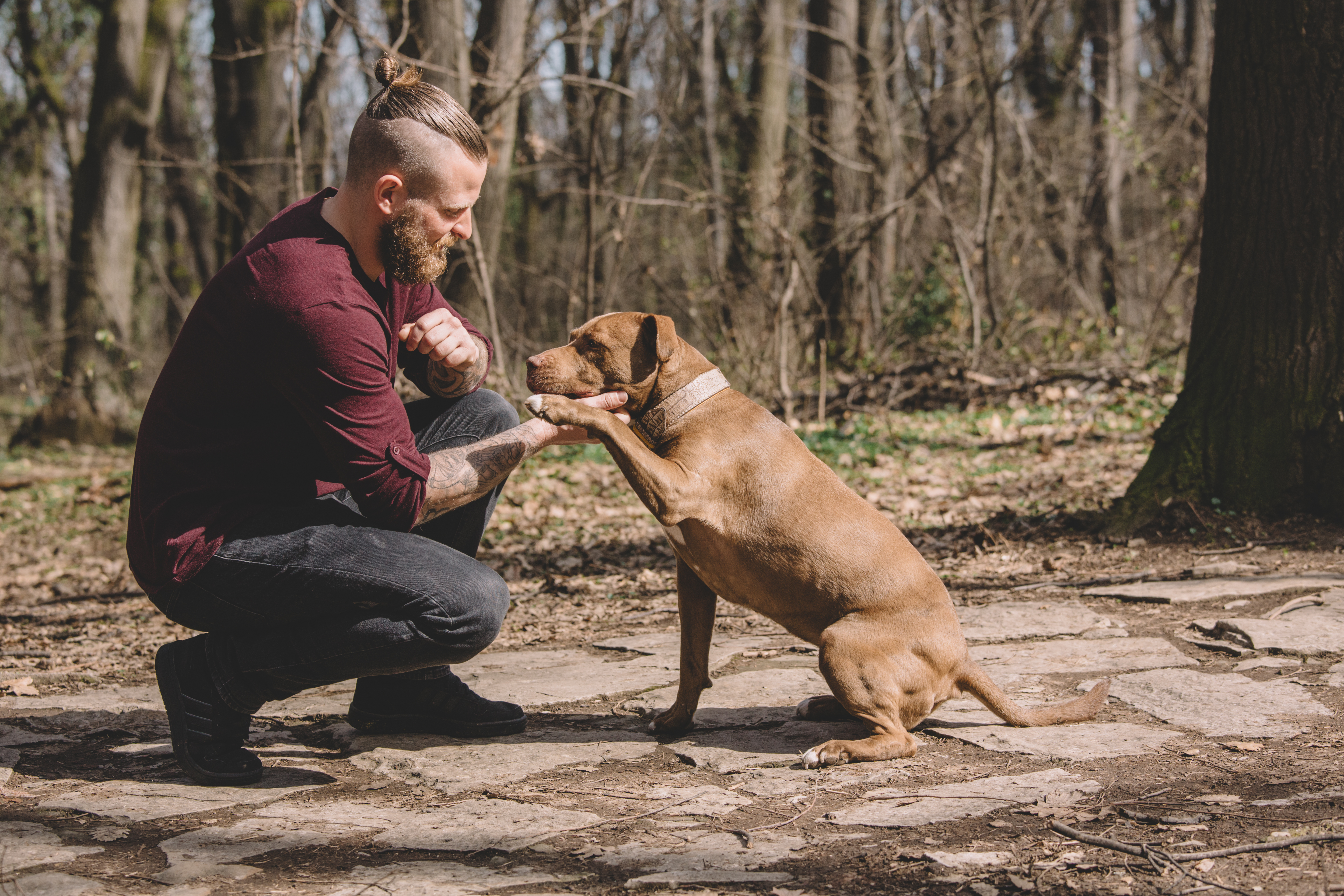 Young Man Training His Dog