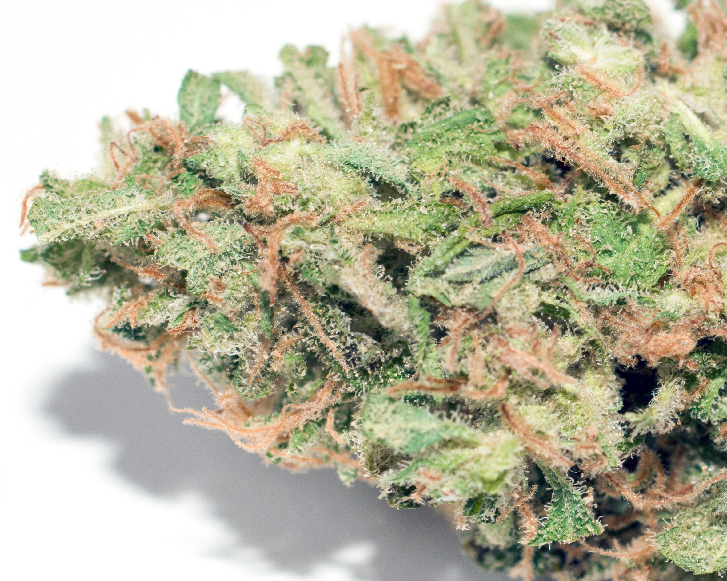 Close-Up Of Dry Marijuana On Table