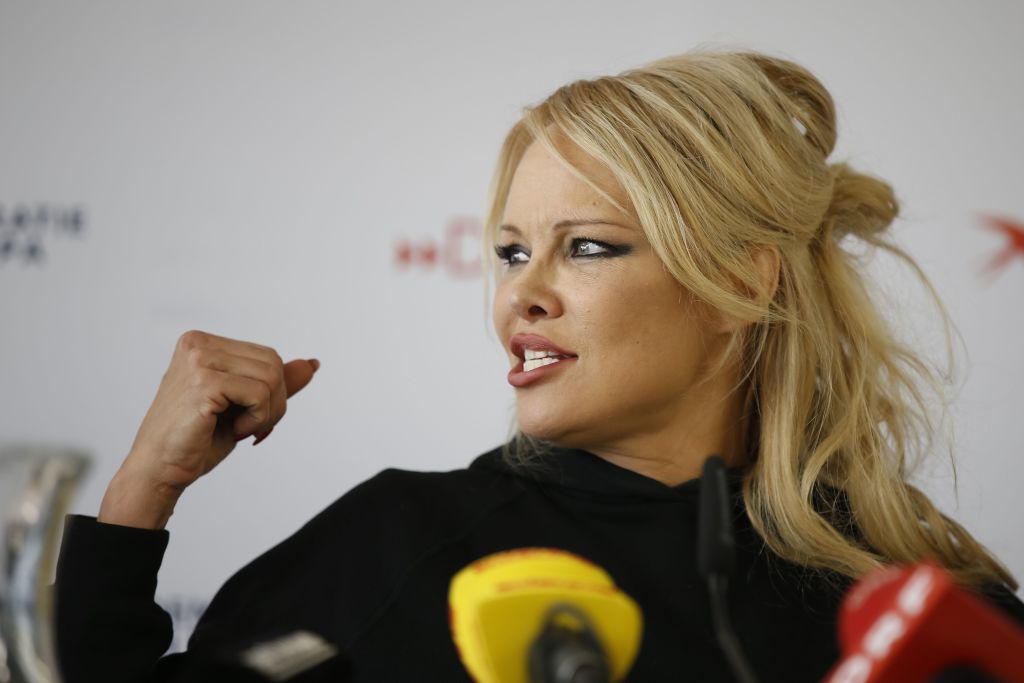 AUSTRIA-FESTIVAL-ANDERSON