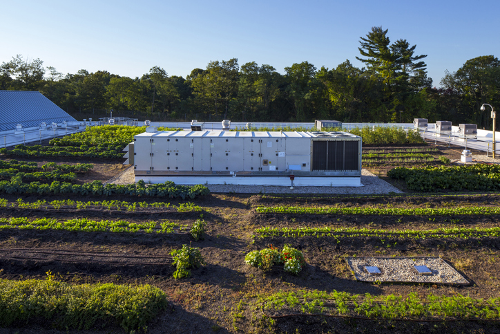 Generator in urban rooftop garden