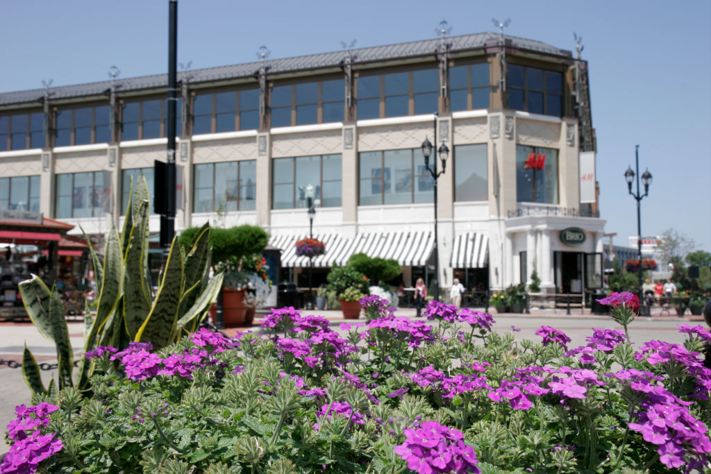 Flowers at Crocker Park.