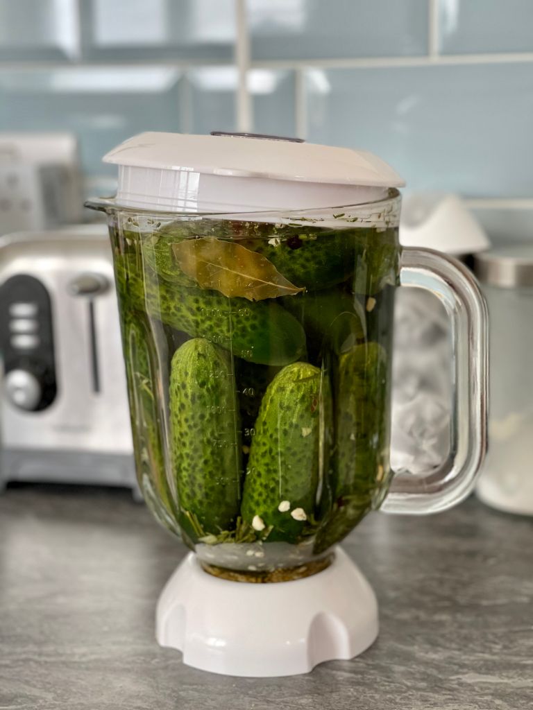 Pickled cucumbers - sour pickles