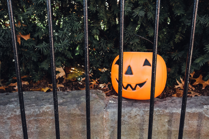 Halloween Pumpkin Bucket Trick-or-Treat Vintage Jack-o-Lantern