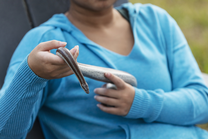 Young Asian woman holding pet snake, sitting outdoors